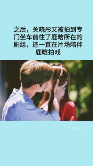 敏捷的白球